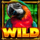 amazon gold wild symbol icon