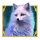arctic hunt symbol wild icon