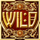 asgard wild 2 symbol icon