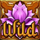 aura god wild symbol icon