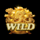 auspicious fortune god wild symbol icon