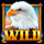 bald eagle wild symbol icon