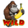 banana bash rampage wild 1 symbol icon
