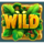 banana rush wild symbol icon