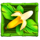banana twist wild symbol icon