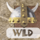 barbaria wild symbol icon