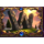 barbarian giants fusion reels wild symbol icon