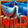 beware the shark wild symbol icon