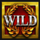 big 500 slot wild symbol icon
