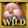 big bad wolf christmas wild 4 symbol icon