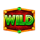 big cat gold wild 2 symbol icon