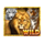 big cats wild symbol icon