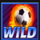 big football bonus wild symbol icon