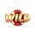 big game fishing rapid riches wild symbol icon