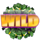 bigger cash win wild symbol icon