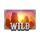 bison fortune coins wild symbol icon