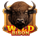 bison vs buffalo symbol wild 1 icon