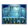 black bullion cash pool wild 2 symbol icon