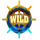 blackbeards hoard cash sacks wild symbol icon