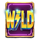 blitz super wheel wild symbol icon