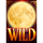 blood moon riches wild moon symbol icon