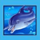 blue dolphin wild symbol icon