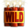 bonanza megapays wild symbol icon