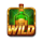 bonus bullets wild symbol icon