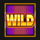 bonus fruits wild symbol icon