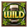 book of blarney gigablox wild symbol icon