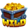 boomstick blast link and loot wild symbol1 icon