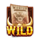 bounty frenzy wild symbol icon