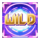 bounty hunt reloaded wild symbol icon