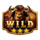 buffalo splash wild 2 symbol icon
