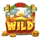 buildin more bucks wild symbol icon