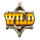 bullions of gold wild symbol icon