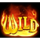 burning coins 40 wild symbol icon