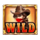 cash eruption the western wild symbol icon