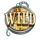 cash falls pirates trove wild symbol icon
