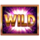 cash free spins fortune edition wild symbol icon