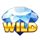 cash melon combo wild symbol icon