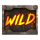 cash truck wild symbol icon