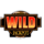 cash wheel blazing 777 triple double jackpot wild wild 4 symbol icon
