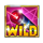 cats collect wild symbol icon