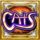 cats wild symbol icon