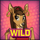 celebrity zoo wild3 symbol icon