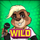 celebrity zoo wild5 symbol icon