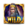 celestial conquest symbol wild2 icon
