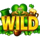 celtic bash lucky clover hold and spin wild symbol icon