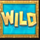 chameleon cash wild symbol icon